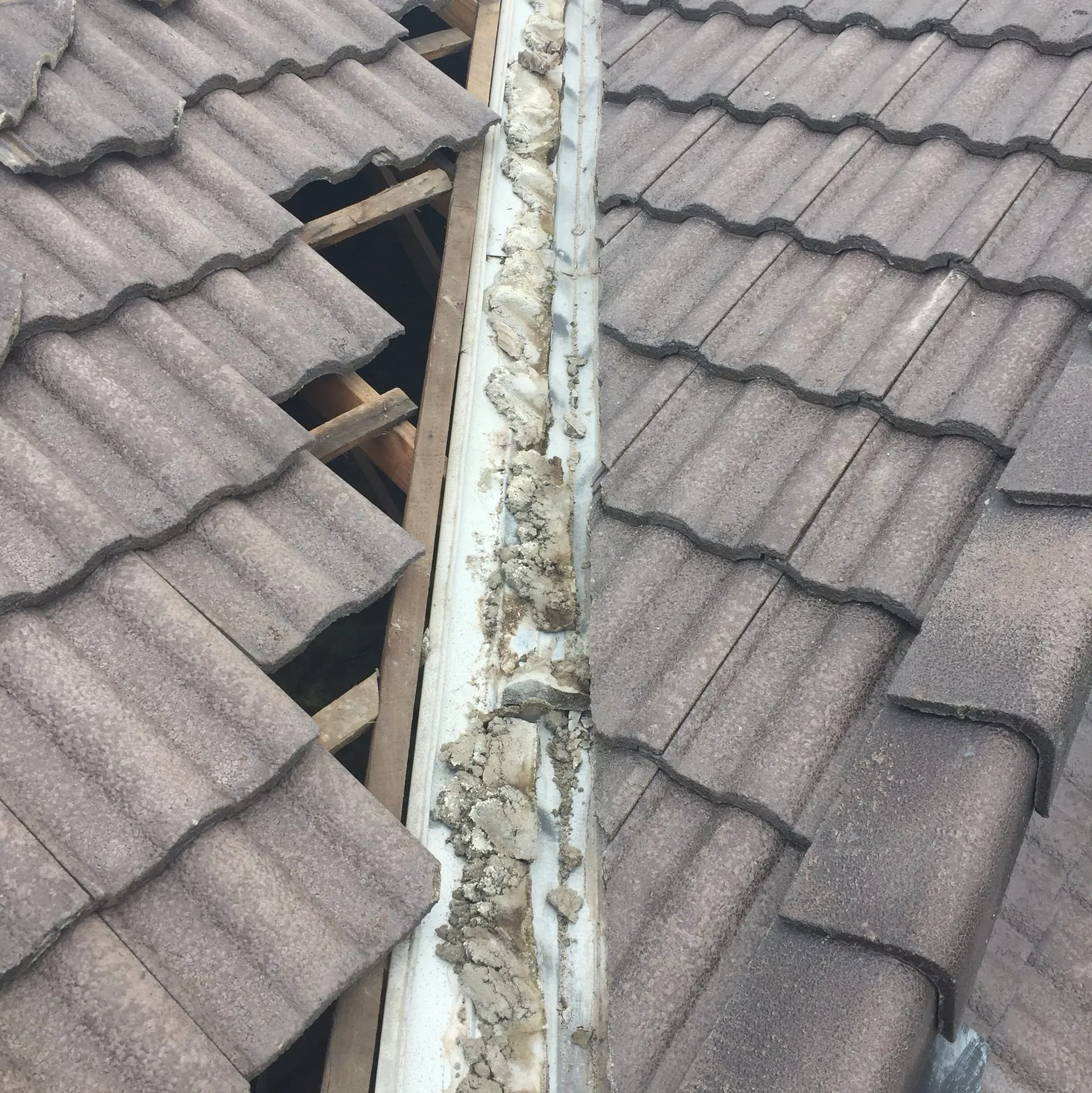 Ridge capping being rebedded during roof repairs