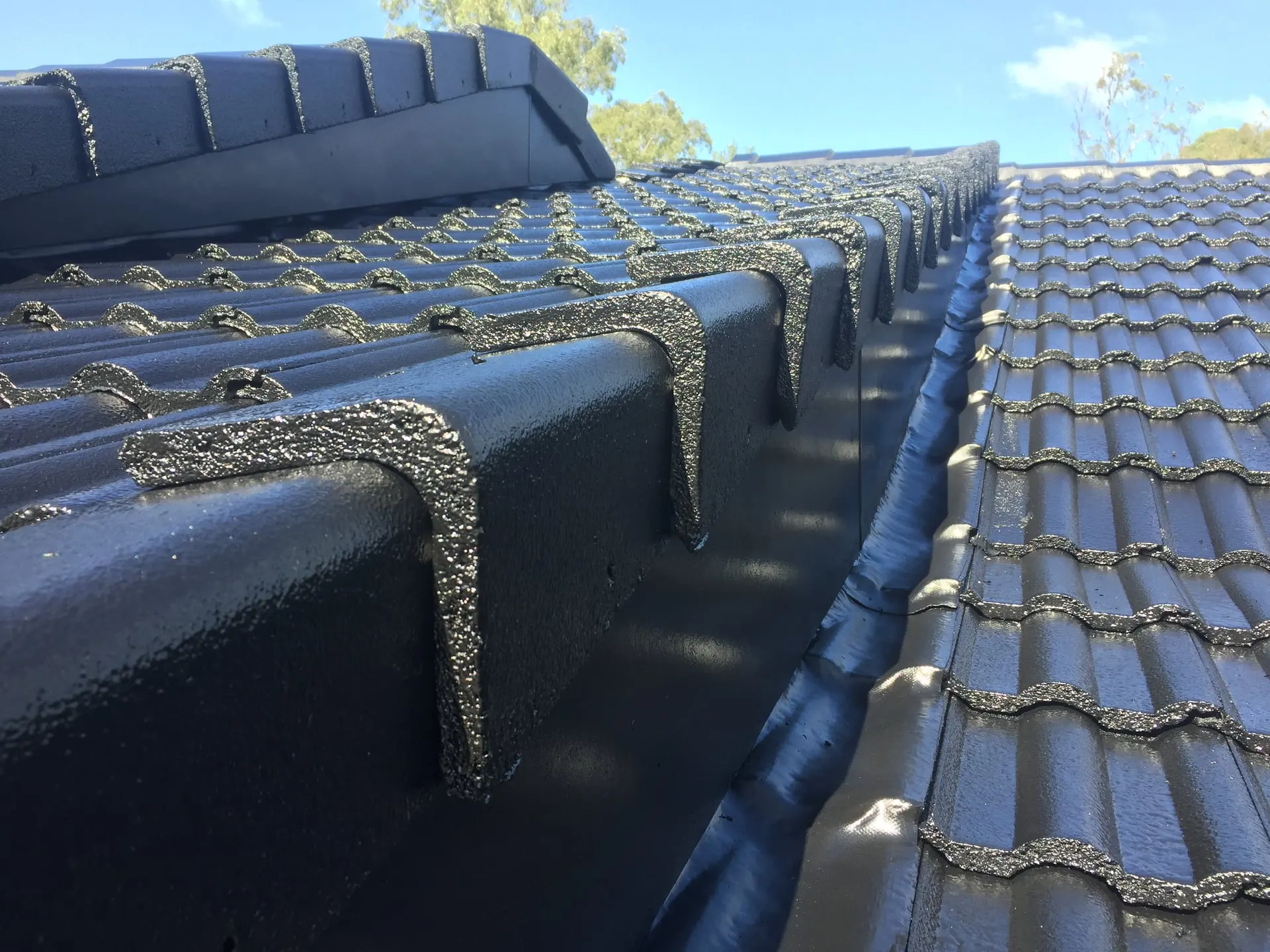 Freshly pointed ridge caps on a dark tiled roof